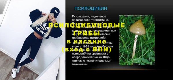 мескалин Гусев